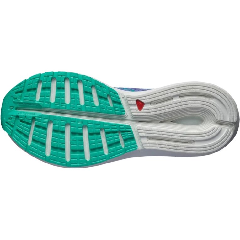 Salomon Sonic 5 Balance Women's Running Shoes Lavender | CA 4F87